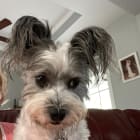 Zoey
