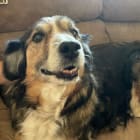 Lucy and Augie