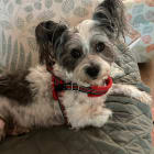 Zoey