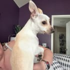 Betty