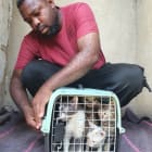 Shain pets rescue