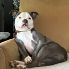 Roscoe