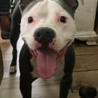 Roscoe