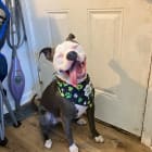 Roscoe