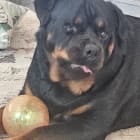 Keziah