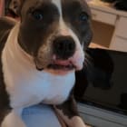 Rita