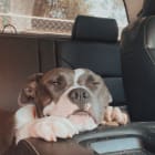 Rita