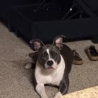 Rita