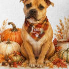 Lucy