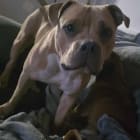 Lucy