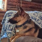 Zeus