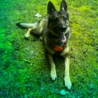Athena