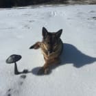 Athena