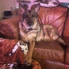 Athena