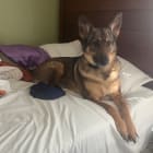 Athena