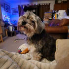 Pixie Lou