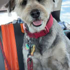 Millie