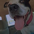 ELLIE