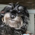 Maggie