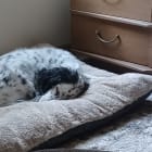 Ms Ellie