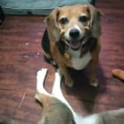 Mr Bailey and Miss Bentley