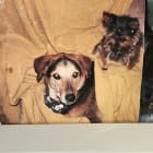 Mr Bailey and Miss Bentley