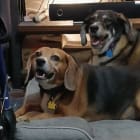 Mr Bailey and Miss Bentley