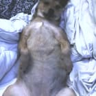 Cera