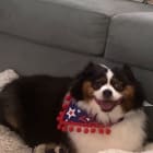 Sophia