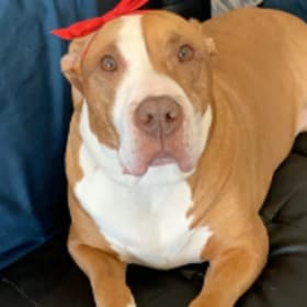 Rosie
