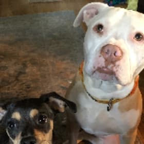 Clover and her little brother Norman