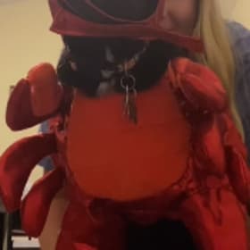Piper