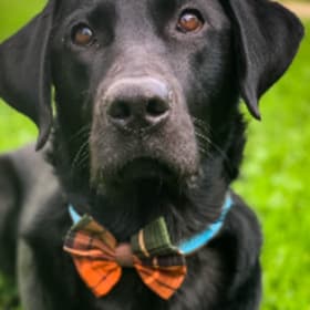 Oakley