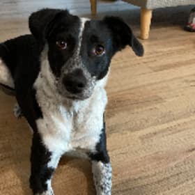 Skye