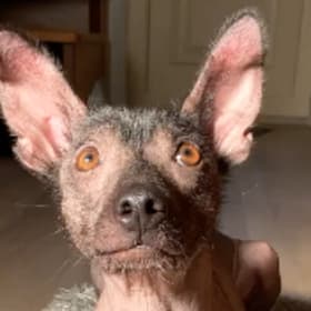 Poco