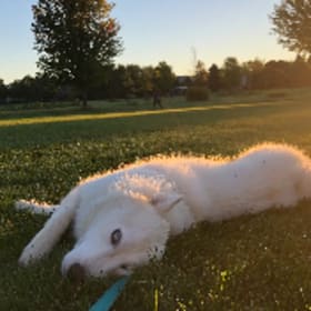 Mochi