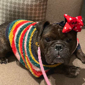 Fiona