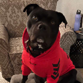 IVAN