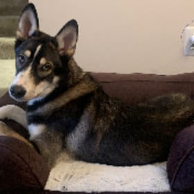 Max