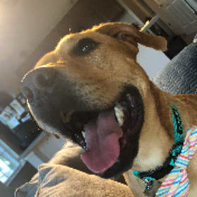 Cooper