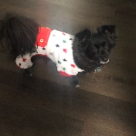 Molly