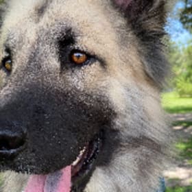Zeus