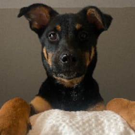 Charlie
