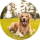 cattolovesdogs