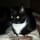 Helen Boswell McGlinchey-Lopez
