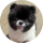 Deana Cubie