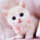 Chloe Cregut