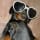 Believe In dachshund