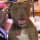 James Greene
