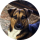 Ichosethdog
